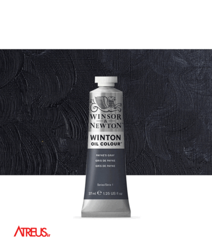 رنگ روغن وینزور37میل PAYNS GREY