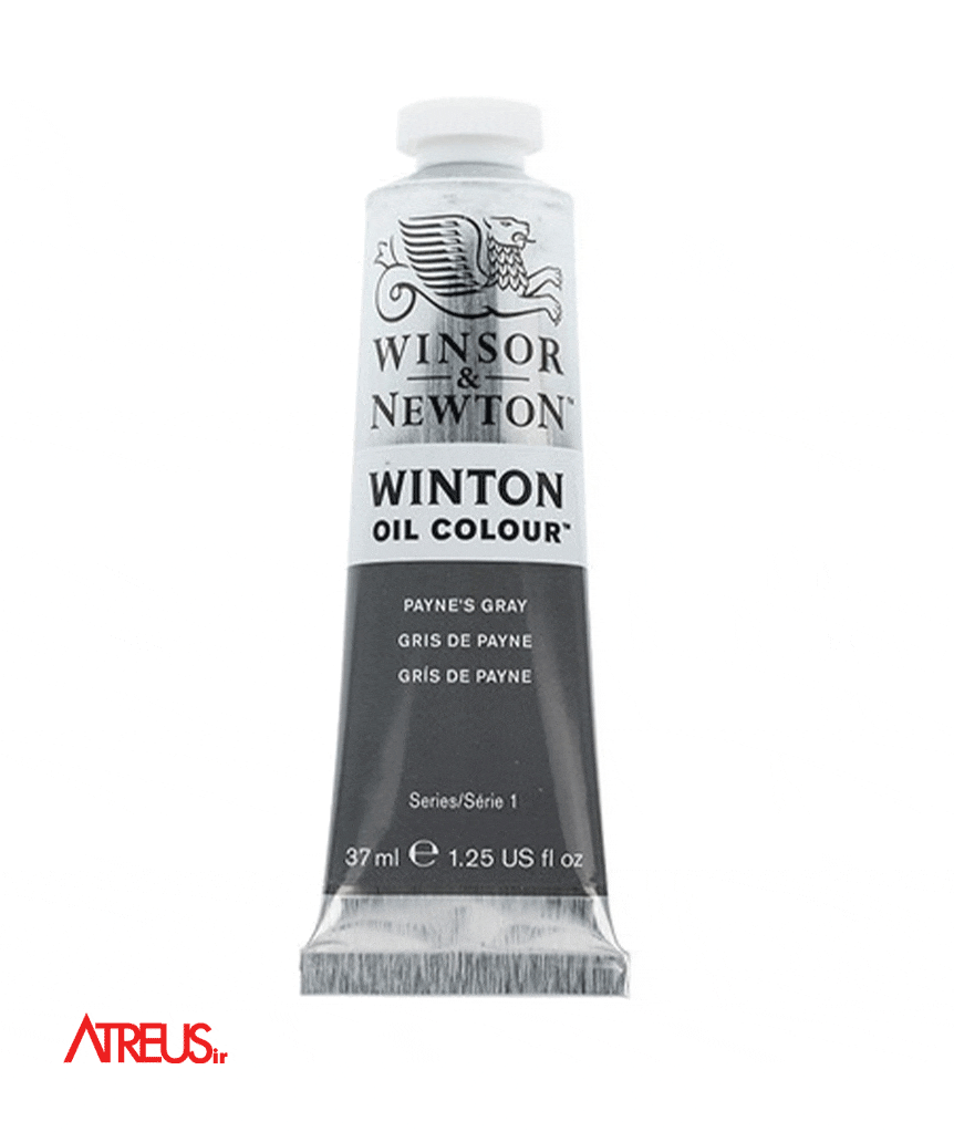 رنگ روغن وینزور37میل PAYNS GREY