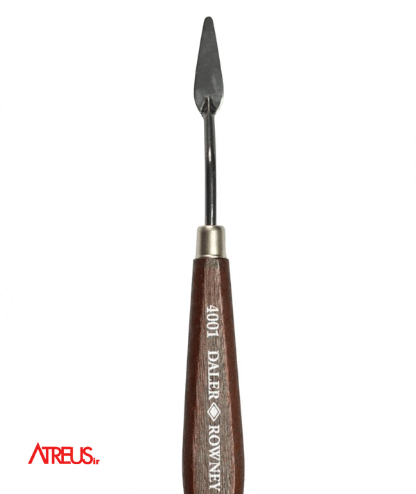 کاردک آرتیست دالر رونی 4001