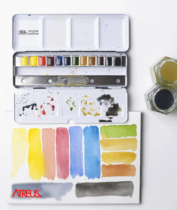 آبرنگ آرتیست وینزور 12 رنگ Winsor & Newton