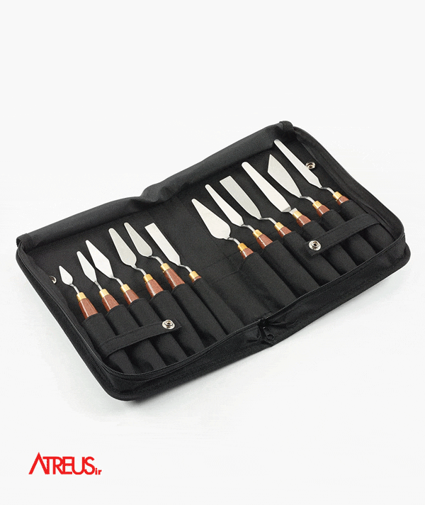 کاردک آرتیست دالر رونی 4001